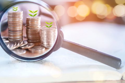 L'image montre une loupe avec une pile de pièces de monnaie en arrière-plan. De petits plants d'arbres poussent à partir des pièces de monnaie pour représenter la richesse croissante issue de la rémunération du travail. 