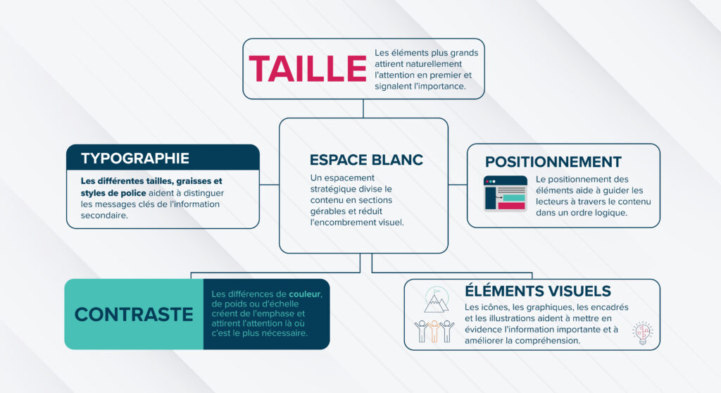 Infographie en français présentant les principaux éléments de la hiérarchie visuelle. Un encadré central intitulé « Espace blanc » est relié à cinq concepts : « Taille », « Typographie », « Positionnement », « Contraste » et « Éléments visuels ». Chaque section explique comment la taille, les polices, l’emplacement des éléments, l’espace vide, le contraste et les éléments graphiques attirent l’attention, organisent l’information et facilitent la compréhension du contenu. Le design utilise des tons bleu marine, turquoise et rose sur un fond gris clair.