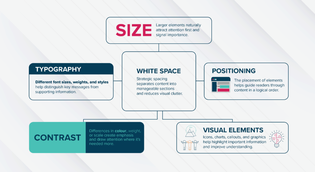Infographic illustrating five key visual hierarchy principles in design. A central box labeled “White Space” explains how spacing reduces clutter and organizes content. Connected surrounding boxes highlight “Size” (larger elements attract attention first), “Typography” (font variations distinguish key messages), “Positioning” (element placement guides readers logically), “Contrast” (differences in colour, weight, or scale create emphasis), and “Visual Elements” (icons, charts, and graphics improve understanding). The graphic uses a blue, teal, and pink color palette with connecting lines showing the relationship between the principles.
